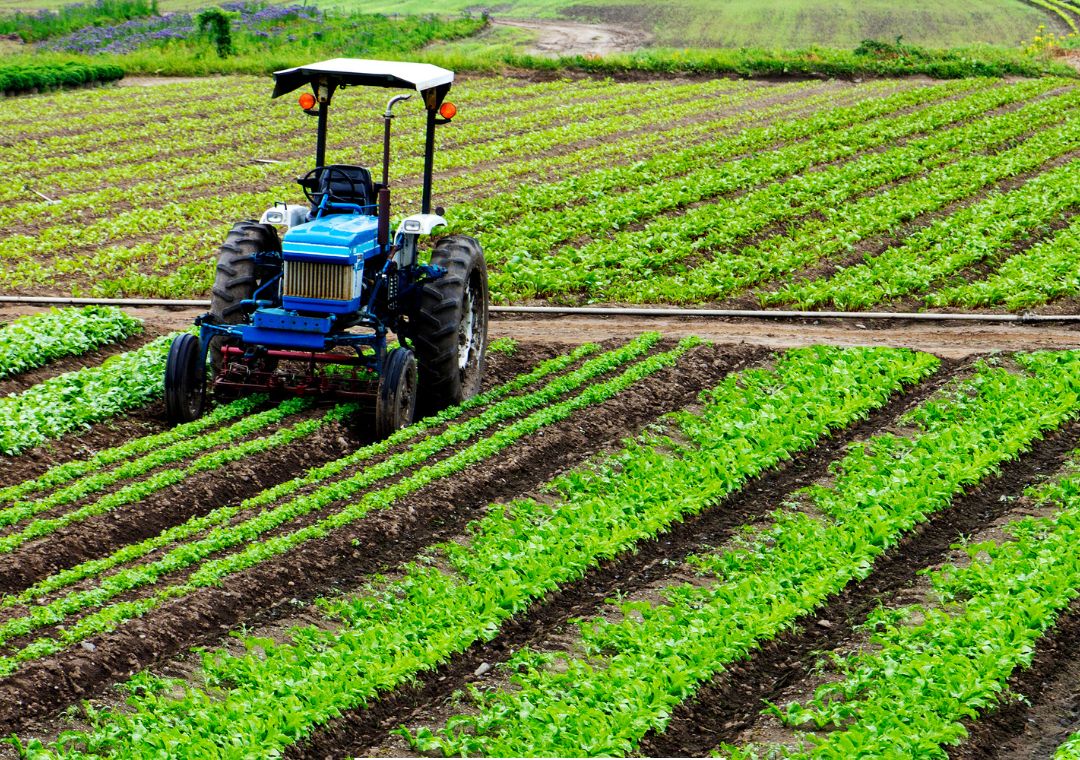 Mengapa konversi lahan pertanian dikatakan bersifat menular