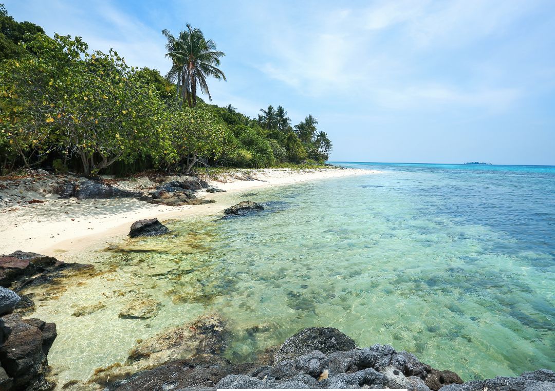 Sebutkan nama-nama pantai dan laut di pulau Jawa ?​