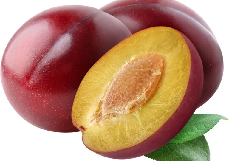 Kakadu Plum