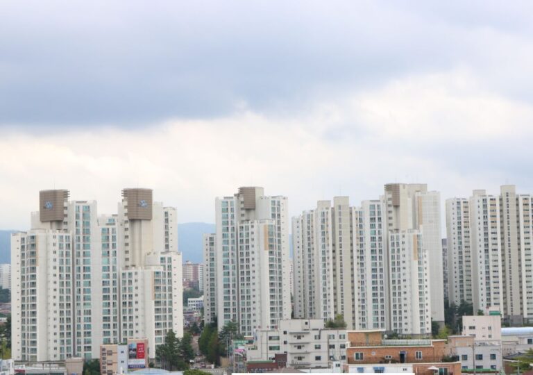 negara berkembang