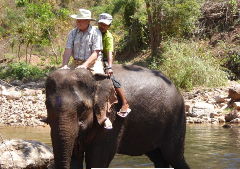 manfaat hewan gajah