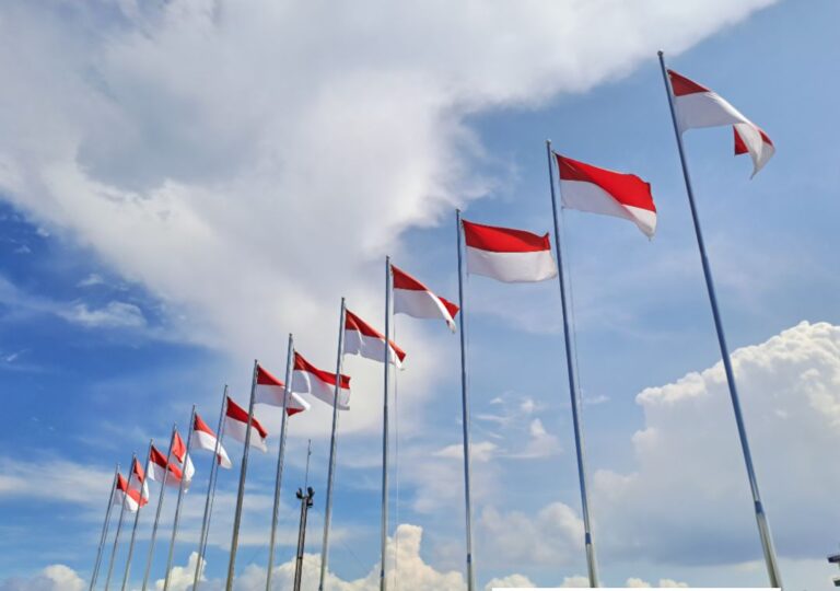 pemerintrah indonesia